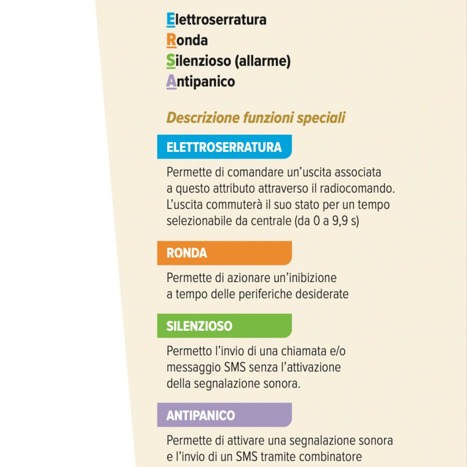 9511-GOLD-RC - immagine 2